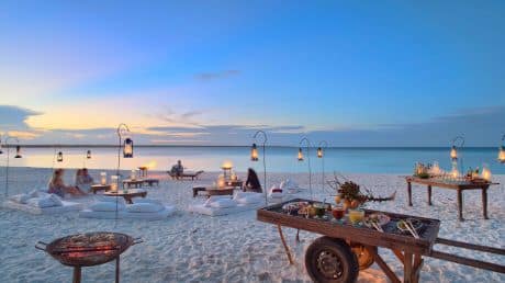 Fly Me to Mnemba with &Beyond 8 Fly-me-to-Mnemba3