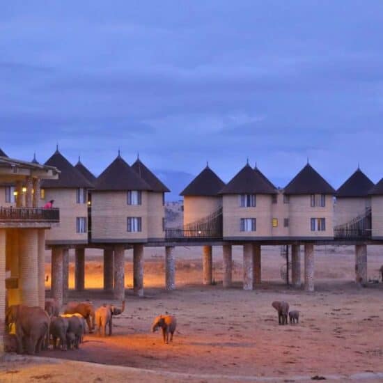 Explore Tsavo Park by Train 9 Saltlick-Safari-Lodge-Nairobi-to-Diani-beach-safaris-Africa-Kenya-Safaris-550x550