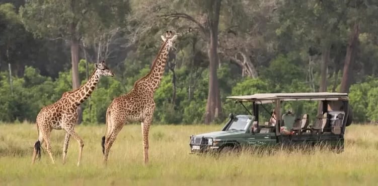 The Warriors Path Kenya Retreat 11 Game-Viewing