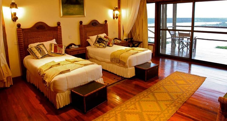 The Great Apes Safari 8 The-Great-Apes-Safari-4