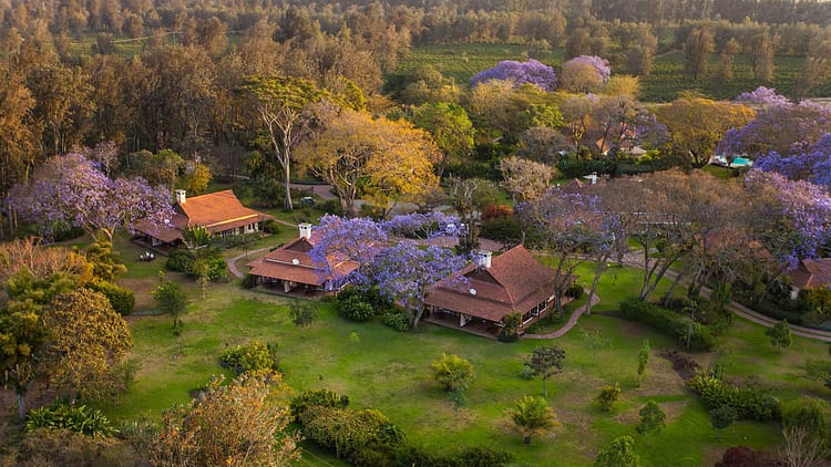 Arusha 12 aerial-view-legendary-lodge-arusha