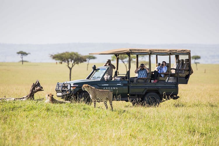 Angama Mara Special Offers 10 Angama.-Special3
