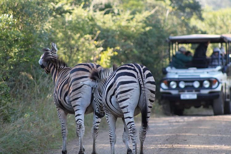 Cape Town Aboard the Luxurious Rovos Rail 24 RVR1
