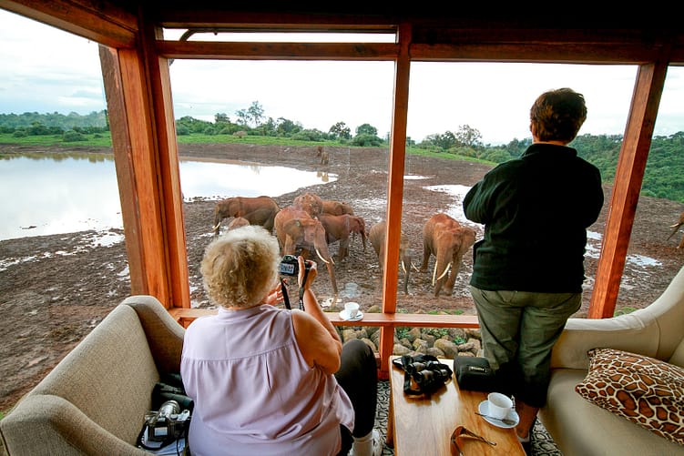 Scenic Kenya Simba Safari 11 ark