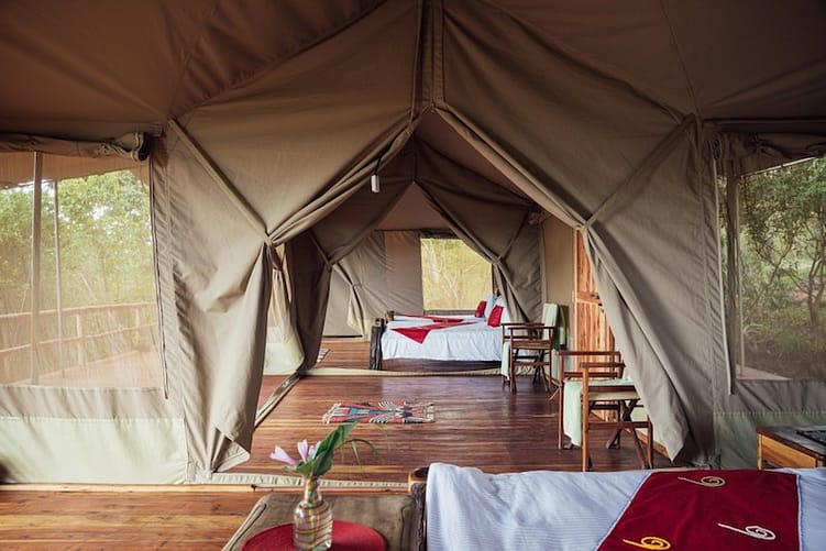 Kenya Odyssey Safari 15 Tangulia