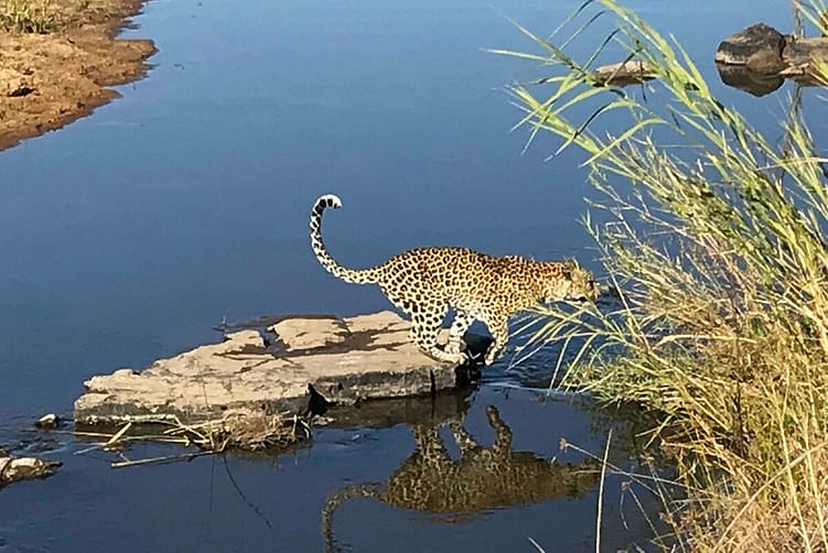 Singita 4 Night Combination Offer 2025 – Tanzania 9 Stay-10-_-Pay-8-–-Singita-Sand4