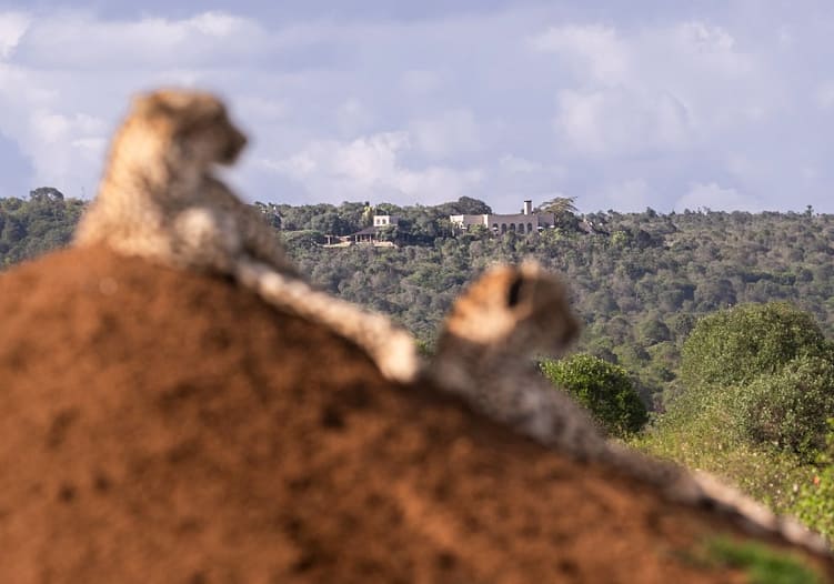 Governors’ Camp Collection Safari Specials 26 Governors-Muige2