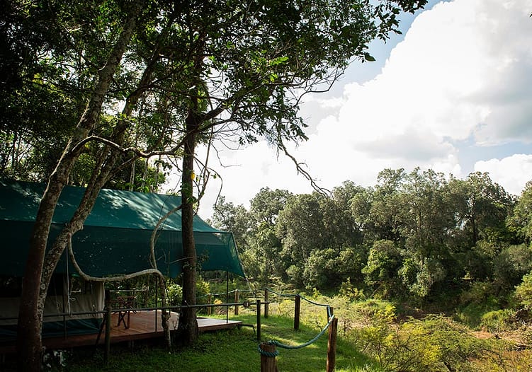 Governors’ Camp Collection Safari Specials 27 Governors-Private