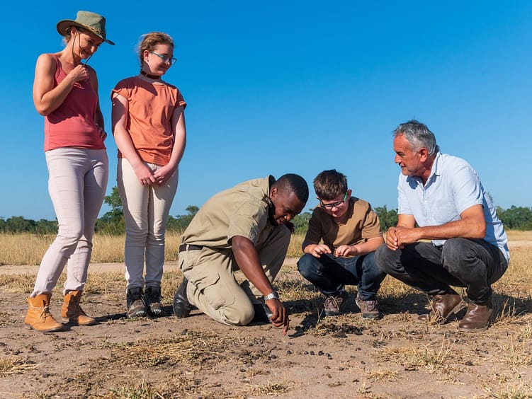 Walking Safari in Africa 18 sabi-sabi-experience-walking-safari-animal-tracking