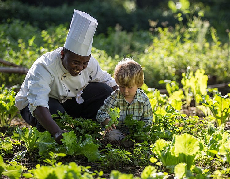Ultimate Tanzania Experience 7 Tanzania-Ultimate-Experience-11 (1)