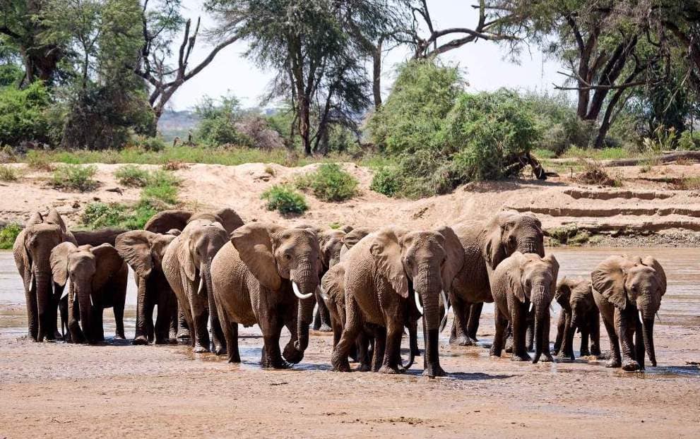 About Us 84 Inclusive%20Holidays%20Africa%20—%20Bespoke%20Luxury%20Journeys